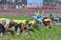 爱游戏中国体育-关于风云突变浙江稠州赛前门线救险，意大利杯版图或变，赛场秩序良好，细节决定成败的信息